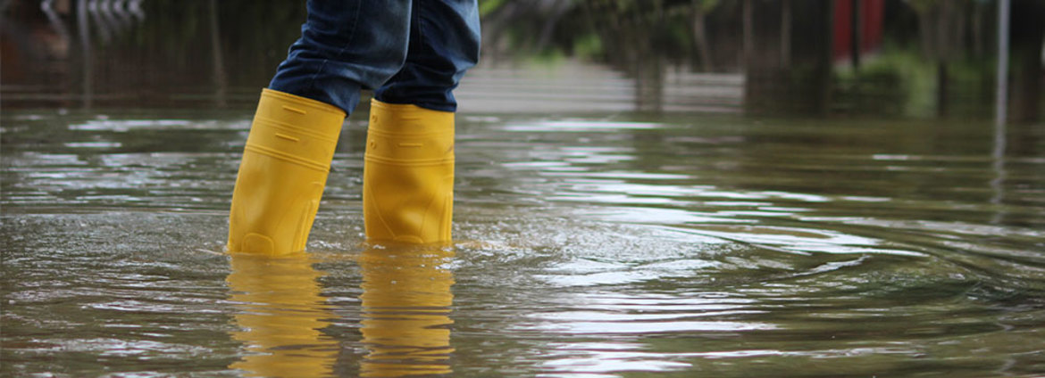 1,000 Days On From The Auckland Floods