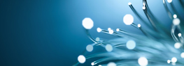 Depositor Protection in New Zealand
