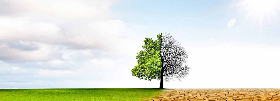 Group Climate Statements
