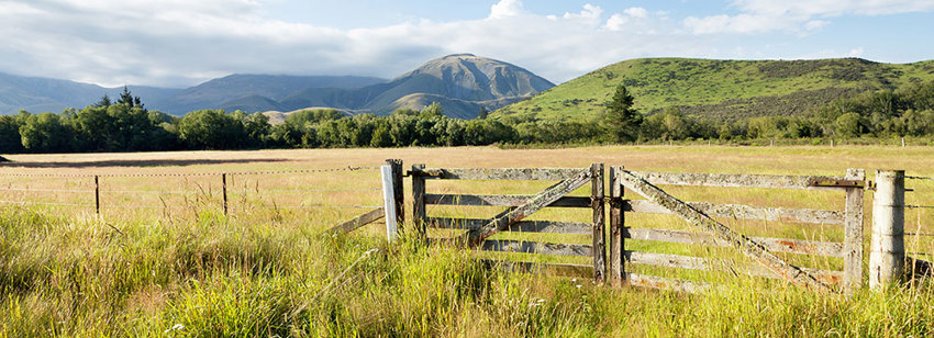 National Policy Statement For Highly Productive Land Released