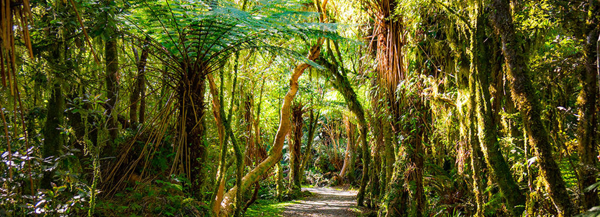 David Allen Legal Alert (1)