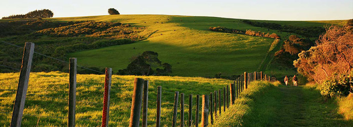 OIO Farm Land (1)