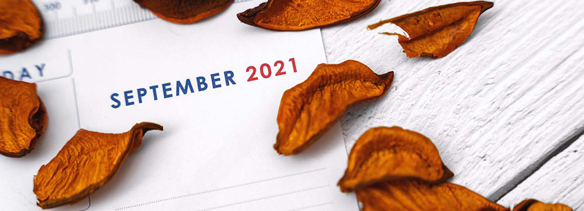 Insight Annual AMLCFT Reports Submission Deadline (1)