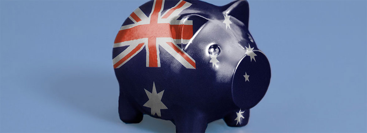 Nz Pig