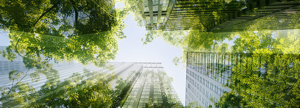Green Cartels Climate Change And Competition Law (1)