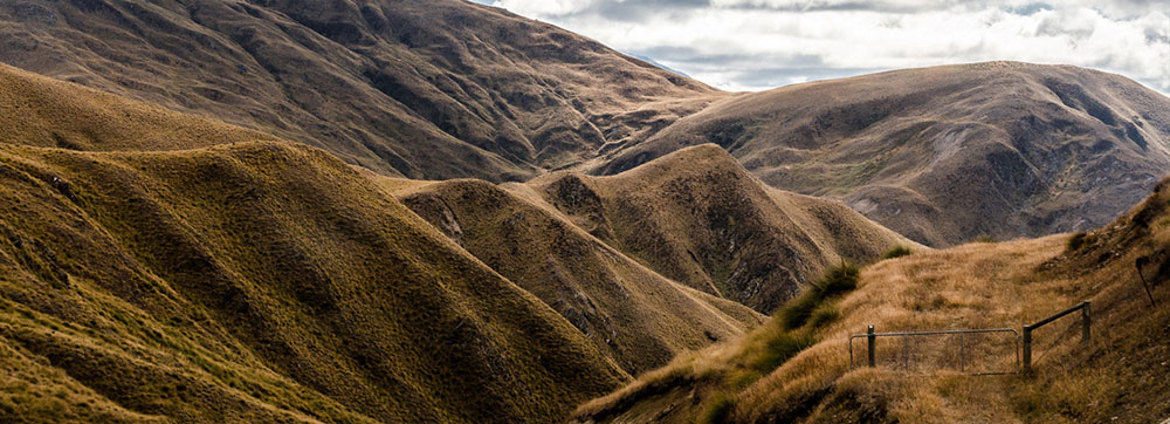 Mt Cardrona (1)