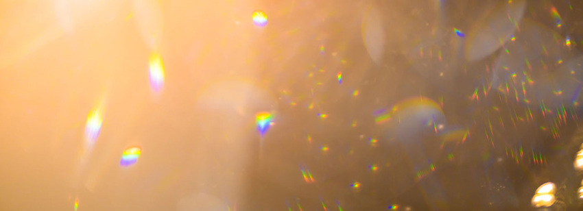 Insight Brand Protection (1)