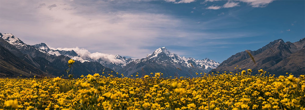 Mountain2 (1)