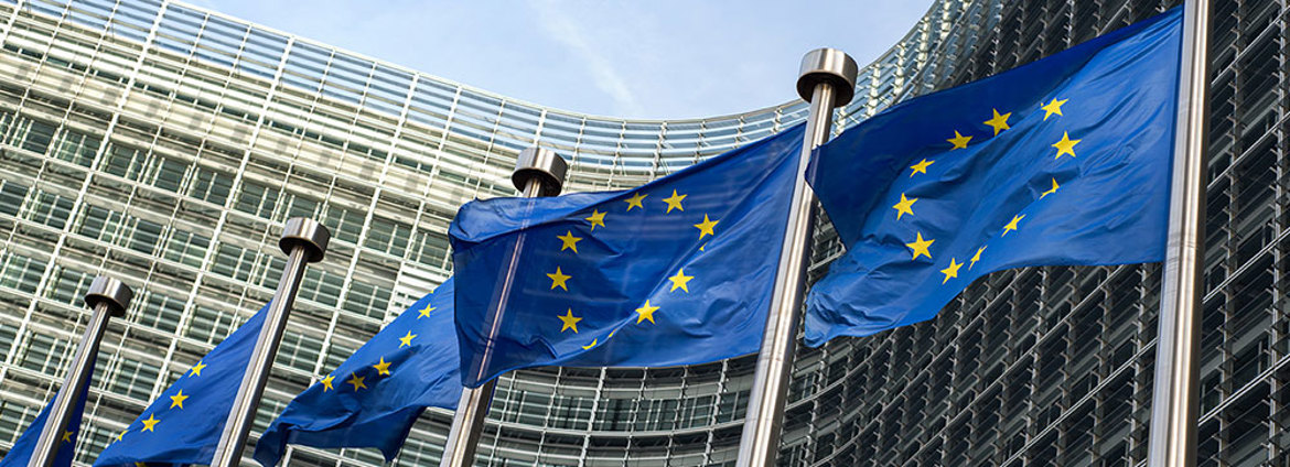 Insight Eu (1)