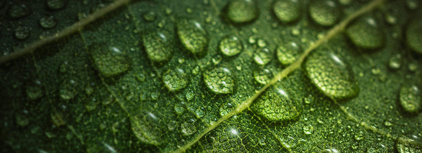 Environment