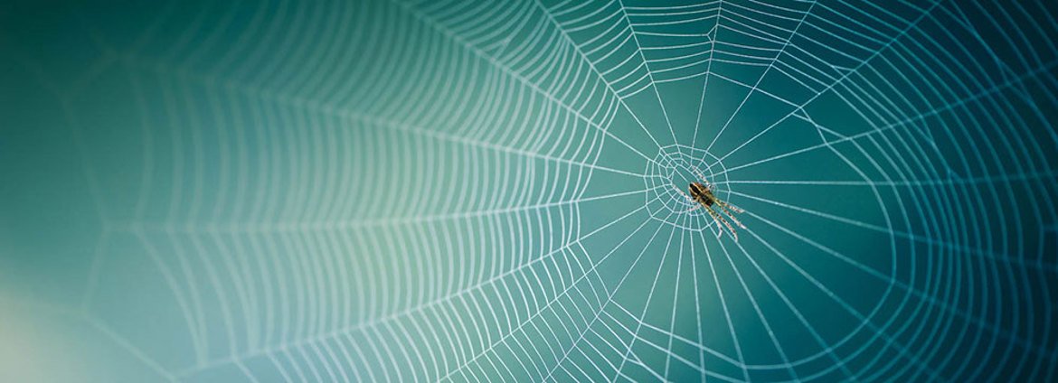 Competition And Antitrust