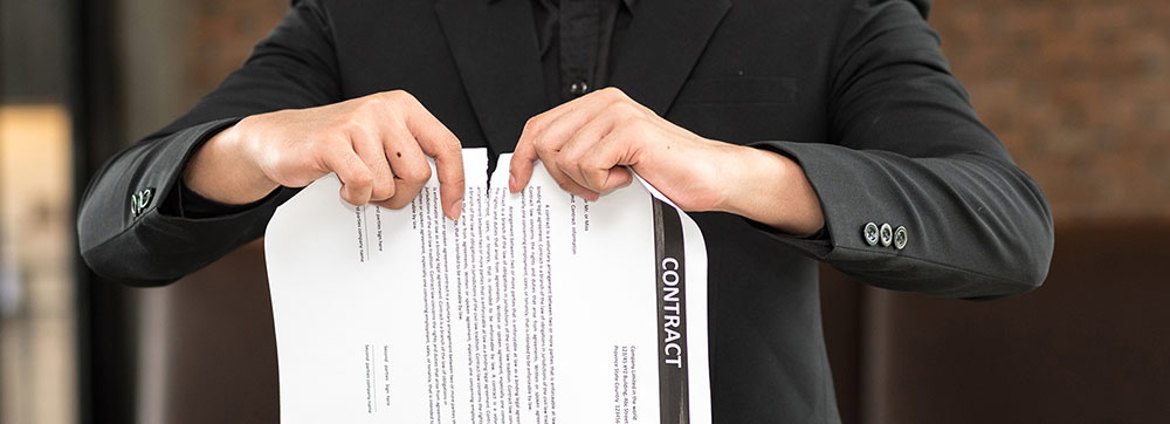 Tmt Legal Update Feb 2019 (1)