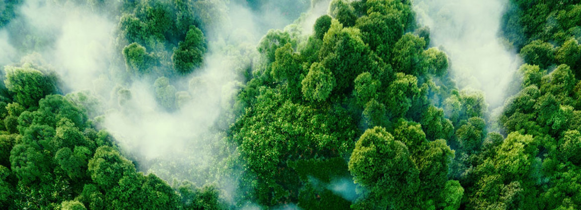 Industrial Manufacturers Face Challenges In Cutting Emissions