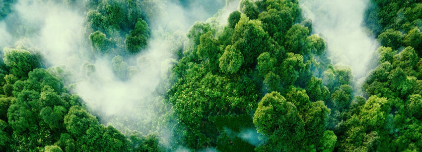 Industrial Manufacturers Face Challenges In Cutting Emissions