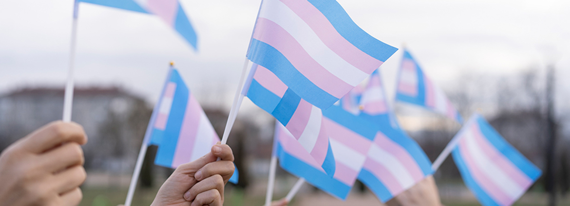 Self Identification Gender