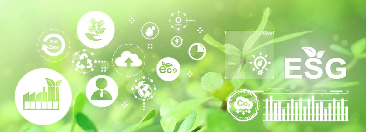 Sweeping Green Claims