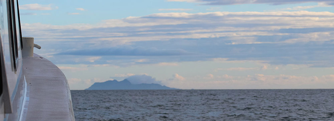 Whakaari White Island