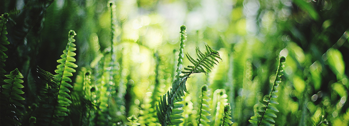 Time Is Running Out! Are You Ready To Re Register Under The Incorporated Societies Act 2022