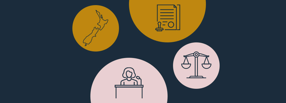 Guide to litigation in New Zealand