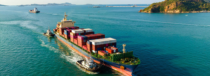 Insights Into The Pacific Business Economy And The Importance Of Intellectual Property Protection