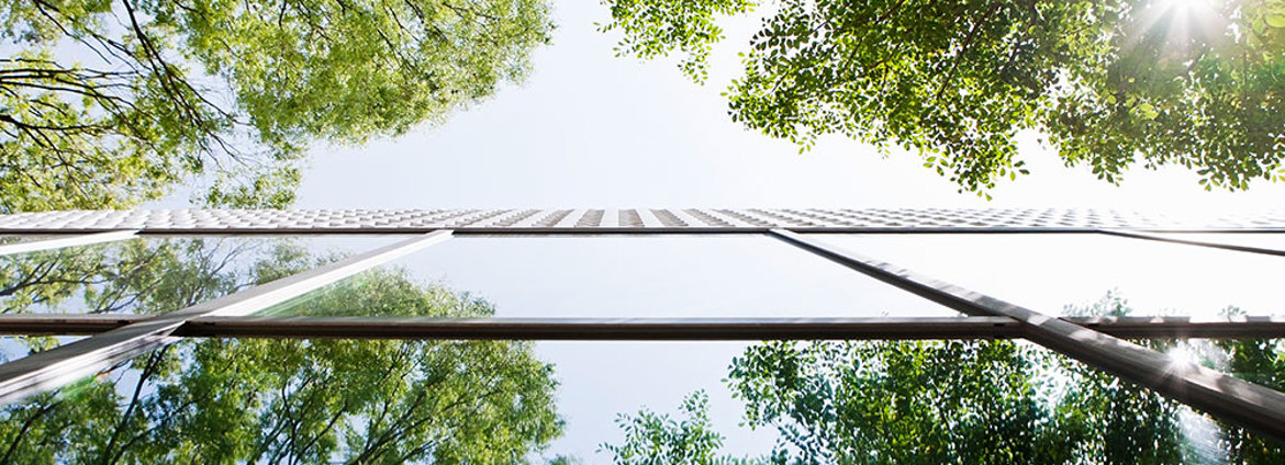 Sustainability Collaborations