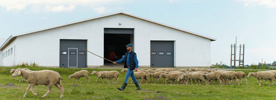 Buddle Findlay Advises New Zealand Agri Brokers On New Agricultural Lending Platform