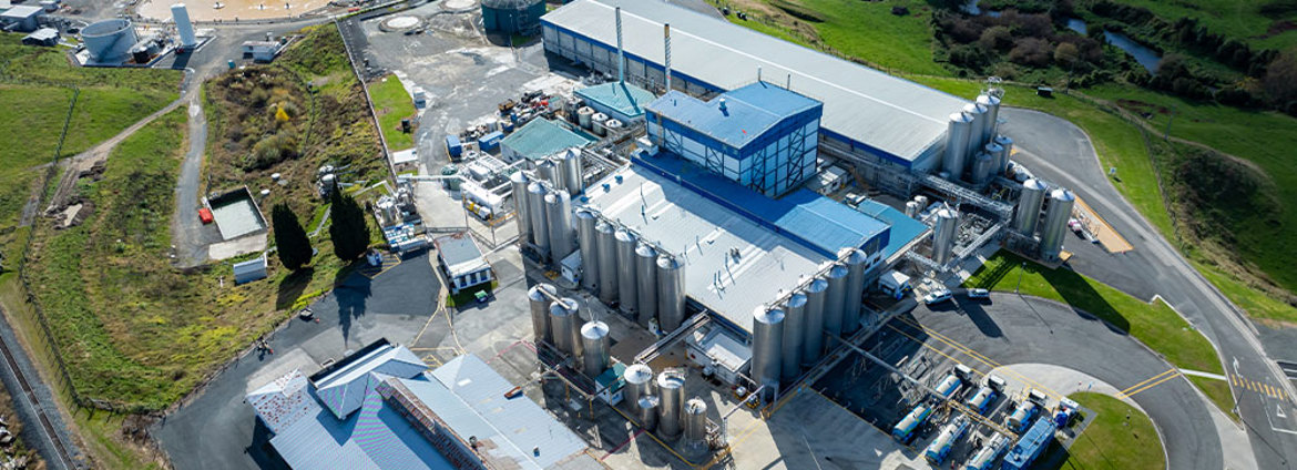 Buddle Findlay Advises Abbott On Its Purchase Of Synlait Milk's North Island Assets (1)