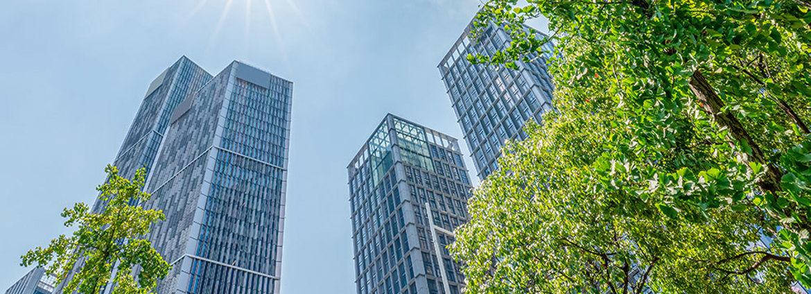 RBNZ Draft Guidance For Managing Climate Related Risks