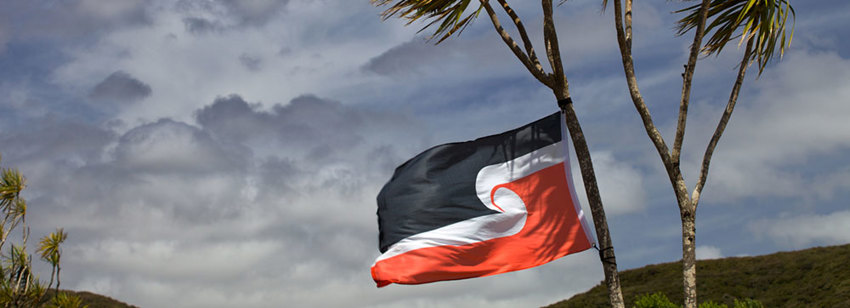 Te Ture Whenua Māori Act 1993
